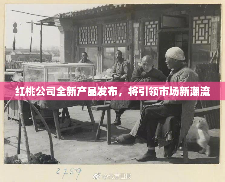 红桃公司全新产品发布，将引领市场新潮流