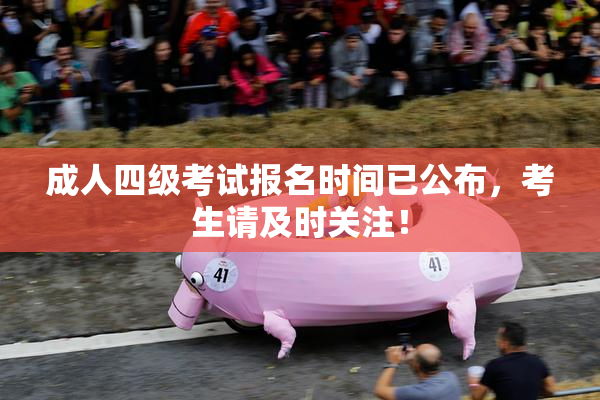 成人四级考试报名时间已公布，考生请及时关注！