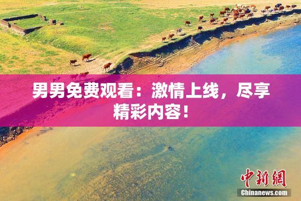 男男免费观看：激情上线，尽享精彩内容！