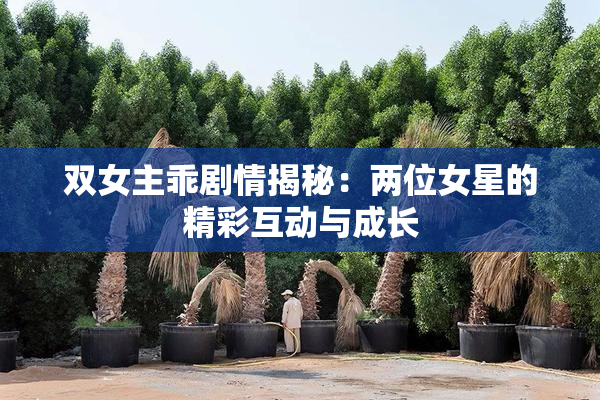 双女主乖剧情揭秘：两位女星的精彩互动与成长
