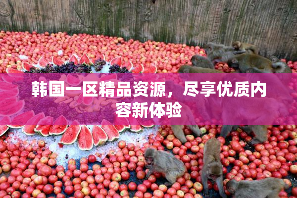 韩国一区精品资源，尽享优质内容新体验