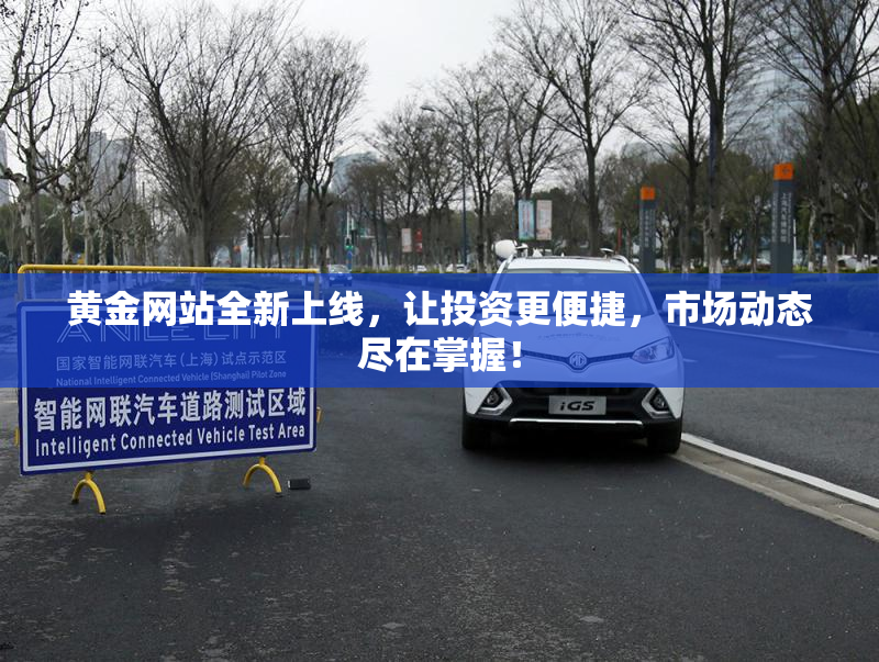 黄金网站全新上线，让投资更便捷，市场动态尽在掌握！