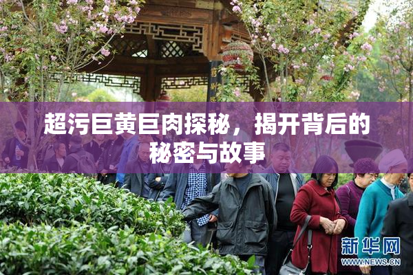 超污巨黄巨肉探秘，揭开背后的秘密与故事