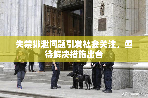 失禁排泄问题引发社会关注，亟待解决措施出台