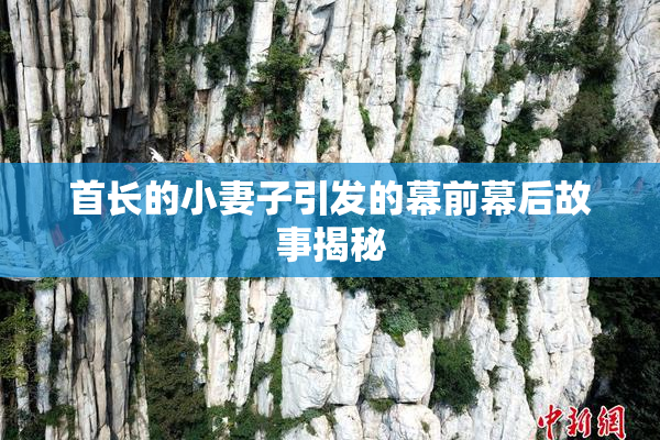 首长的小妻子引发的幕前幕后故事揭秘