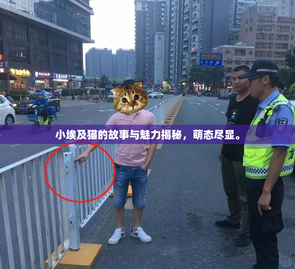 小埃及猫的故事与魅力揭秘，萌态尽显。