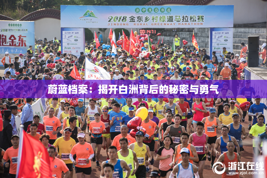 蔚蓝档案：揭开白洲背后的秘密与勇气