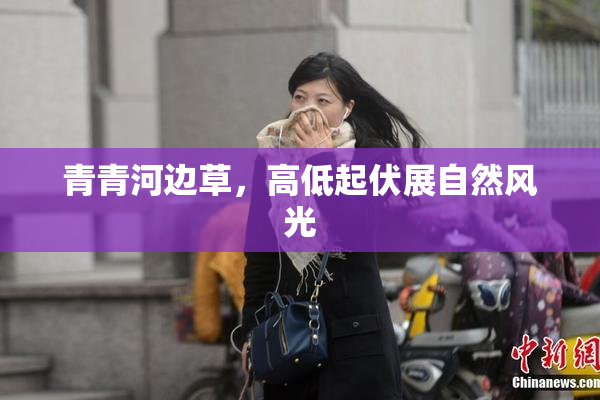 青青河边草，高低起伏展自然风光