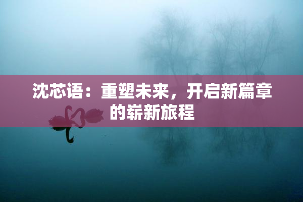 沈芯语：重塑未来，开启新篇章的崭新旅程