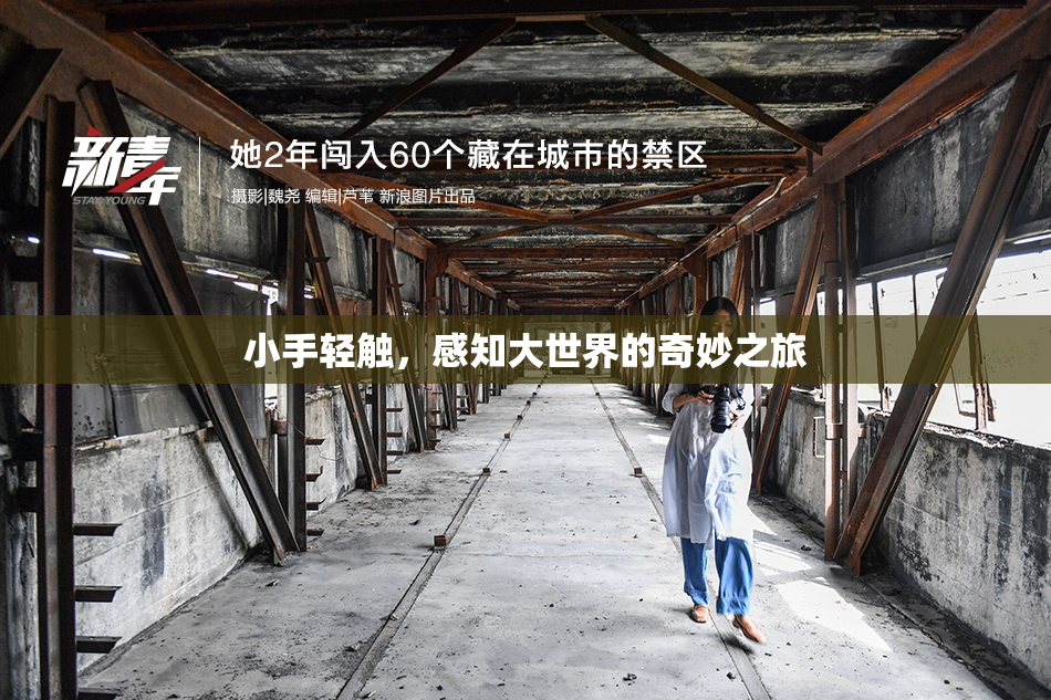小手轻触，感知大世界的奇妙之旅