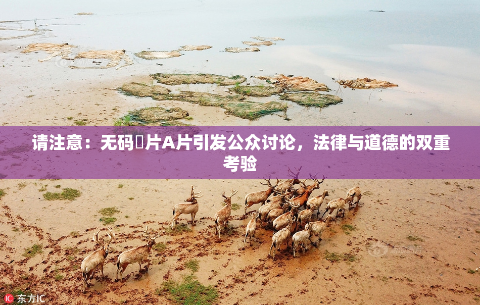 请注意：无码婬片A片引发公众讨论，法律与道德的双重考验