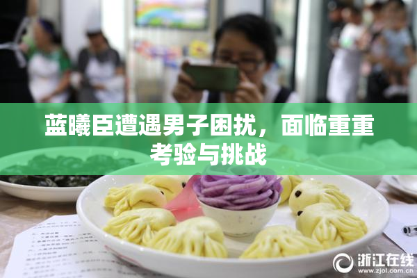 蓝曦臣遭遇男子困扰，面临重重考验与挑战