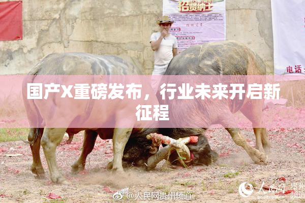 国产X重磅发布，行业未来开启新征程