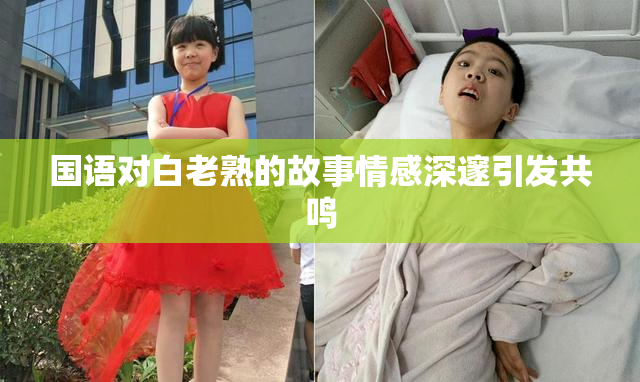 国语对白老熟的故事情感深邃引发共鸣