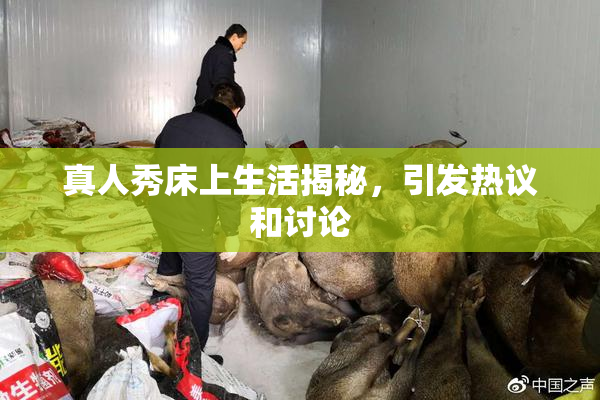 真人秀床上生活揭秘，引发热议和讨论