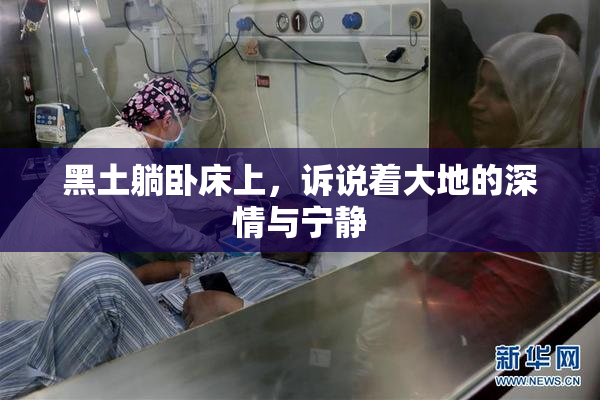 黑土躺卧床上，诉说着大地的深情与宁静