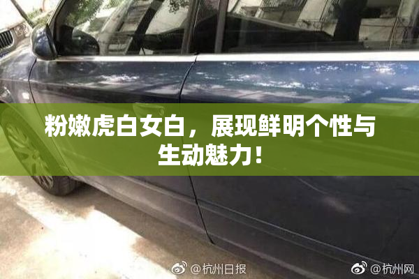 粉嫩虎白女白，展现鲜明个性与生动魅力！