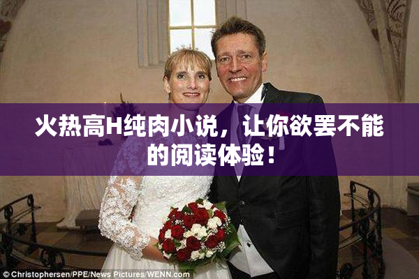 火热高H纯肉小说，让你欲罢不能的阅读体验！