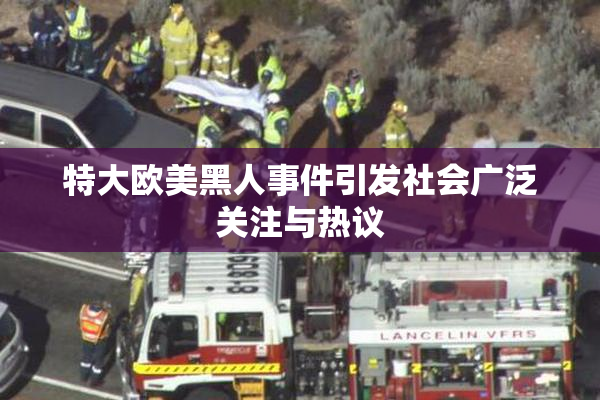特大欧美黑人事件引发社会广泛关注与热议