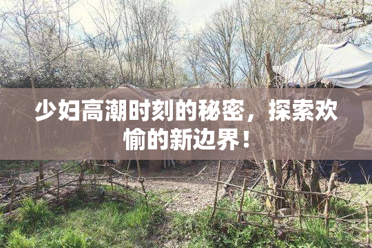 少妇高潮时刻的秘密，探索欢愉的新边界！