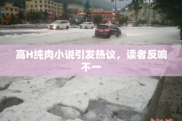 高H纯肉小说引发热议，读者反响不一