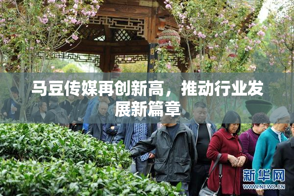 马豆传媒再创新高，推动行业发展新篇章