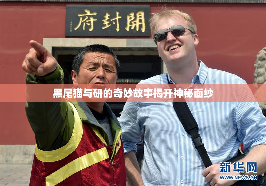 黑尾猫与研的奇妙故事揭开神秘面纱