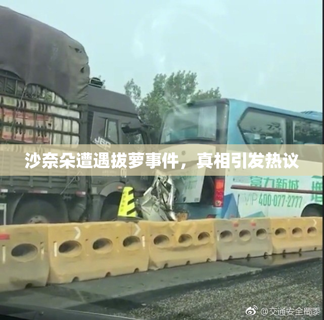 沙奈朵遭遇拔萝事件，真相引发热议