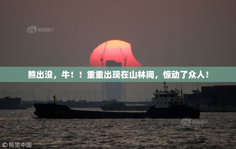 熊出没，牛！！重重出现在山林间，惊动了众人！