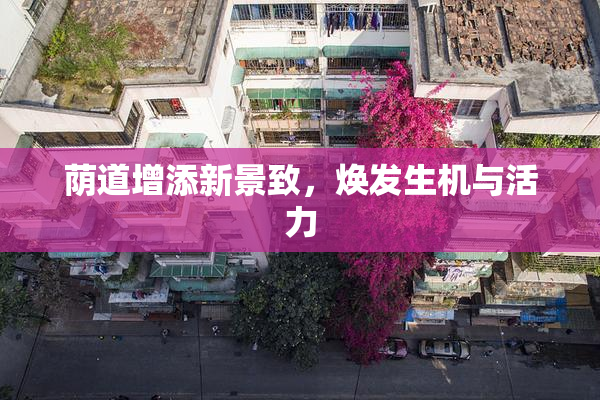 荫道增添新景致，焕发生机与活力