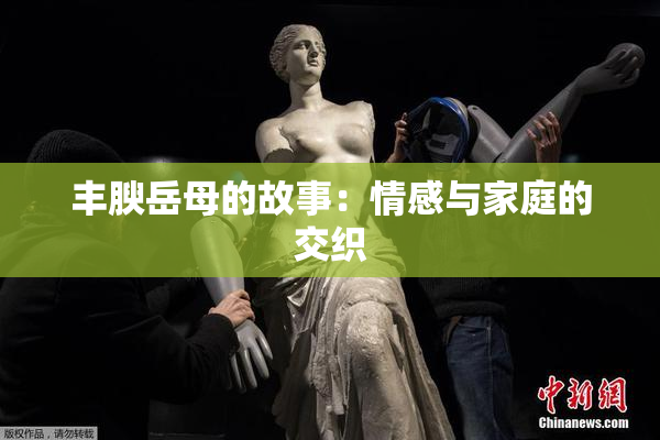 丰腴岳母的故事：情感与家庭的交织