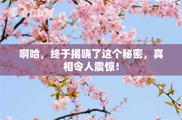 啊哈，终于揭晓了这个秘密，真相令人震惊！