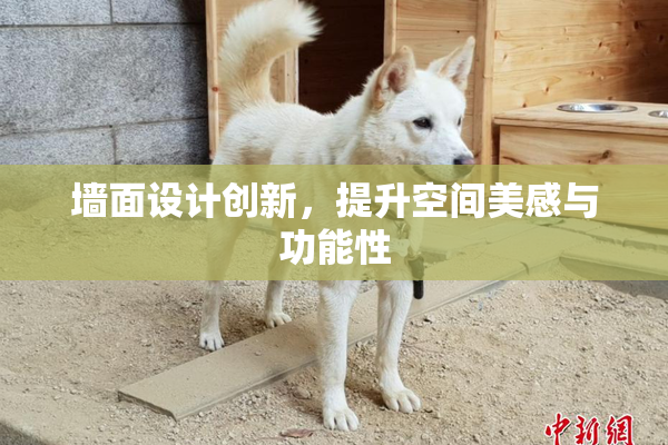 墙面设计创新，提升空间美感与功能性