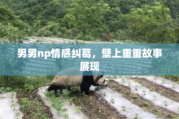 男男np情感纠葛，壁上重重故事展现