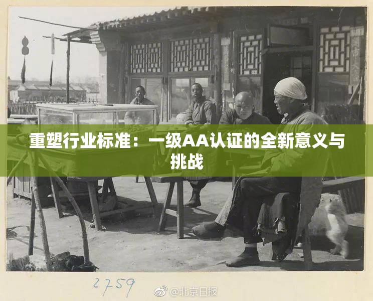 重塑行业标准：一级AA认证的全新意义与挑战