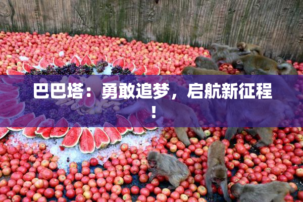 巴巴塔：勇敢追梦，启航新征程！