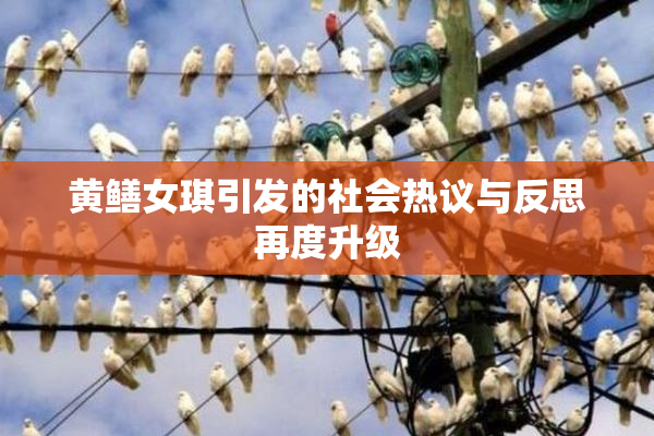 黄鳝女琪引发的社会热议与反思再度升级