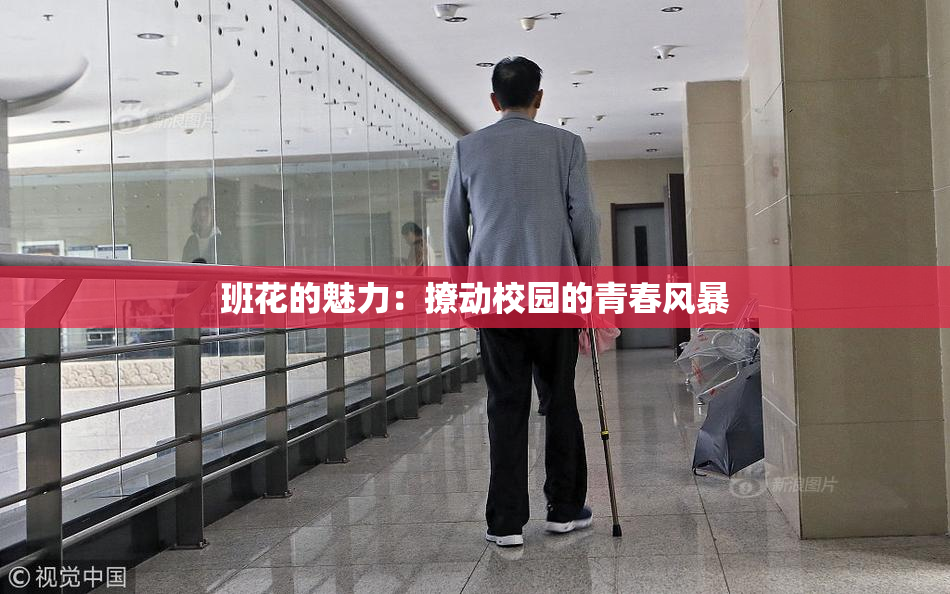 班花的魅力：撩动校园的青春风暴
