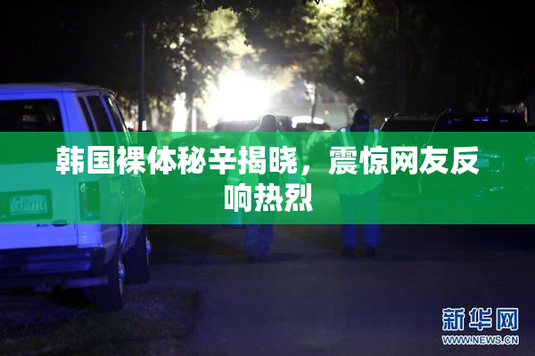 韩国裸体秘辛揭晓，震惊网友反响热烈