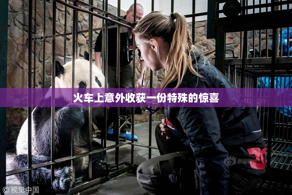 火车上意外收获一份特殊的惊喜