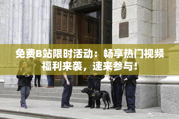 免费B站限时活动：畅享热门视频福利来袭，速来参与！