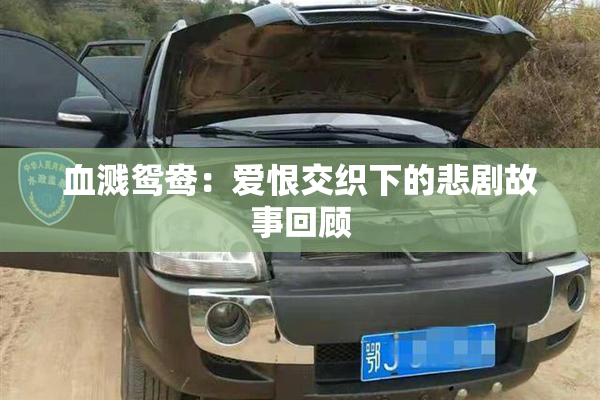 血溅鸳鸯：爱恨交织下的悲剧故事回顾