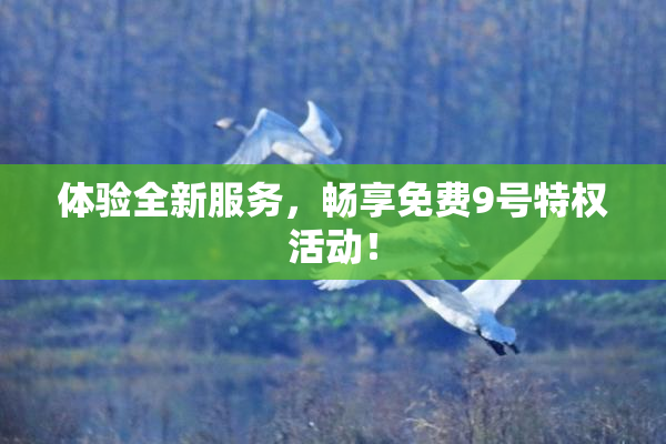 体验全新服务，畅享免费9号特权活动！
