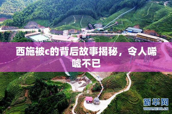 西施被c的背后故事揭秘，令人唏嘘不已