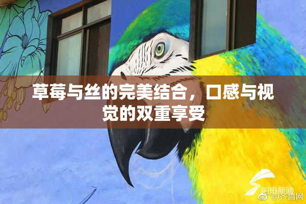 草莓与丝的完美结合，口感与视觉的双重享受