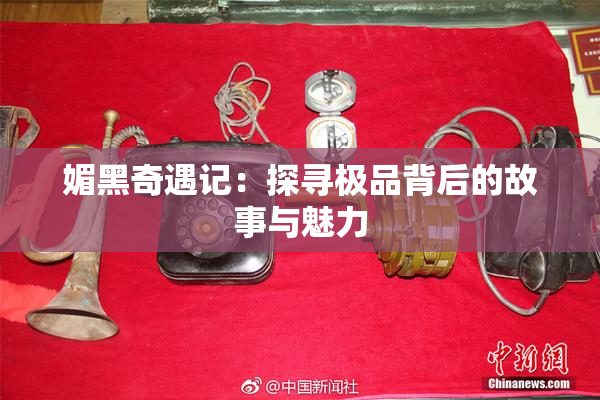 媚黑奇遇记：探寻极品背后的故事与魅力