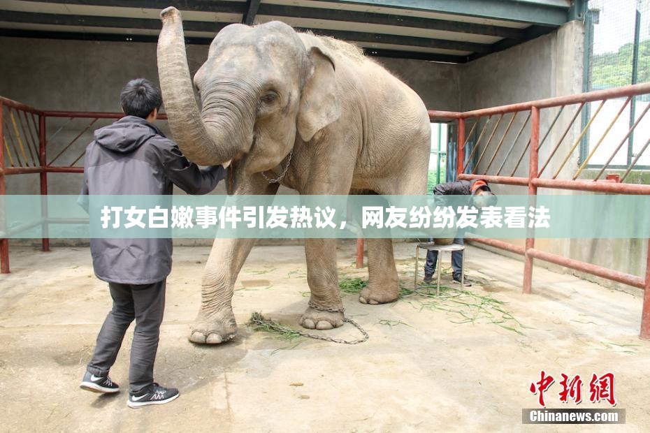 打女白嫩事件引发热议，网友纷纷发表看法