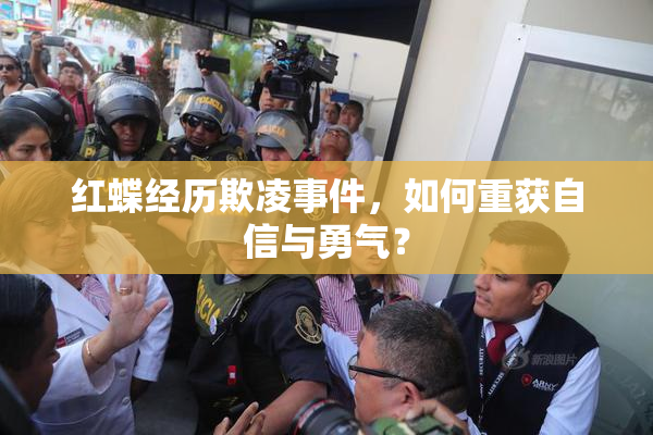 红蝶经历欺凌事件，如何重获自信与勇气？