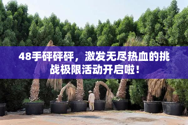 48手砰砰砰，激发无尽热血的挑战极限活动开启啦！