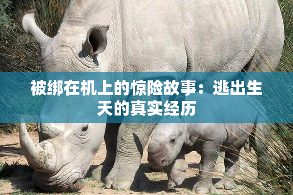 被绑在机上的惊险故事：逃出生天的真实经历